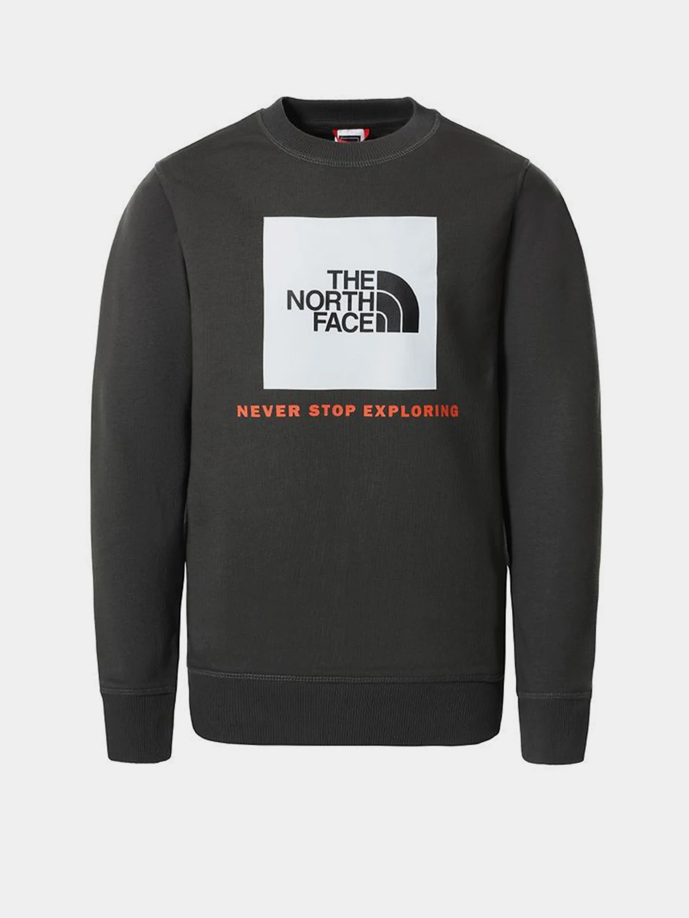 Худи и свитшоты The North Face модель NF0A37FYUG31 Фото
