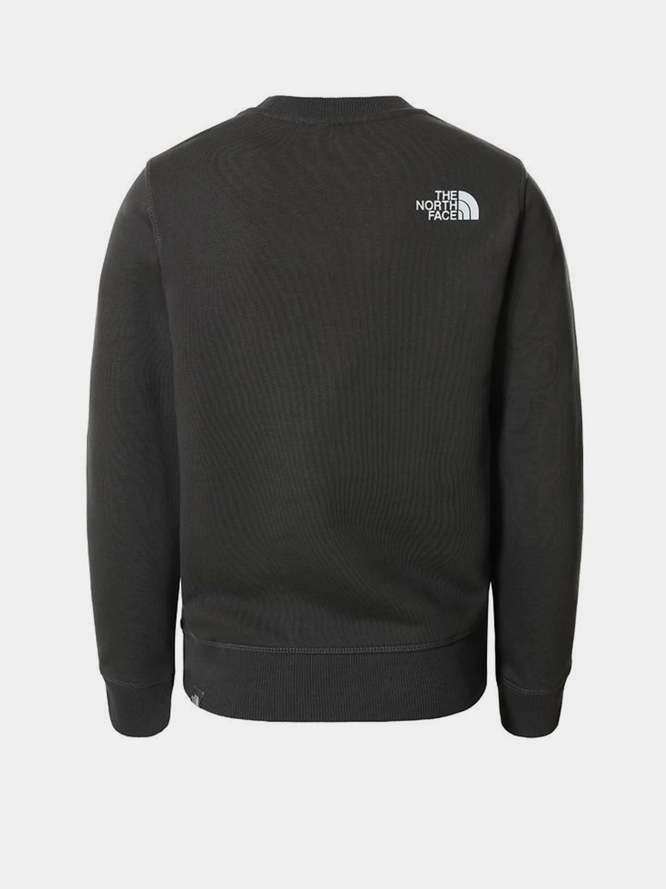 Худи и свитшоты The North Face модель NF0A37FYUG31 Фото