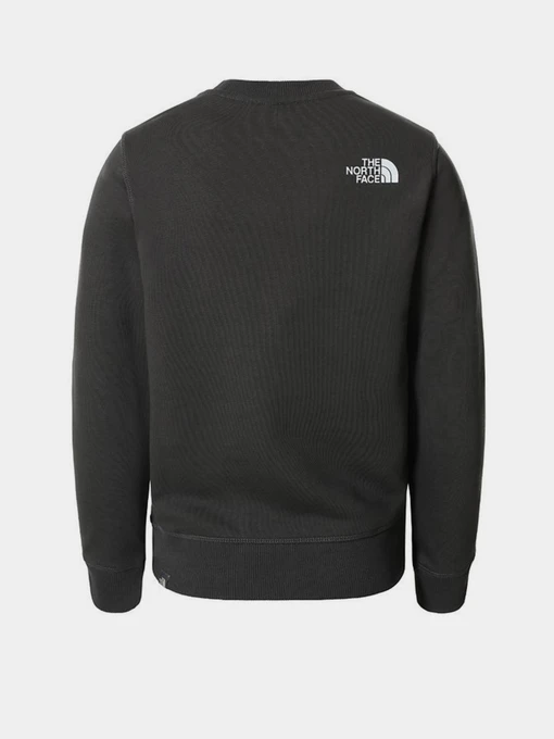 Худи и свитшоты The North Face модель NF0A37FYUG31 Фото