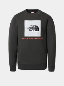 Худи и свитшоты The North Face модель NF0A37FYUG31 Фото