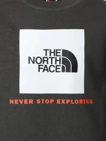 Худи и свитшоты The North Face модель NF0A37FYUG31 Фото