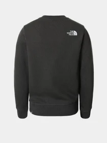Худи и свитшоты The North Face модель NF0A37FYUG31 Фото