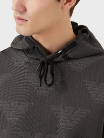 Худи и свитшоты Emporio Armani модель 3L1MFR-1JHSZ-F637 Фото