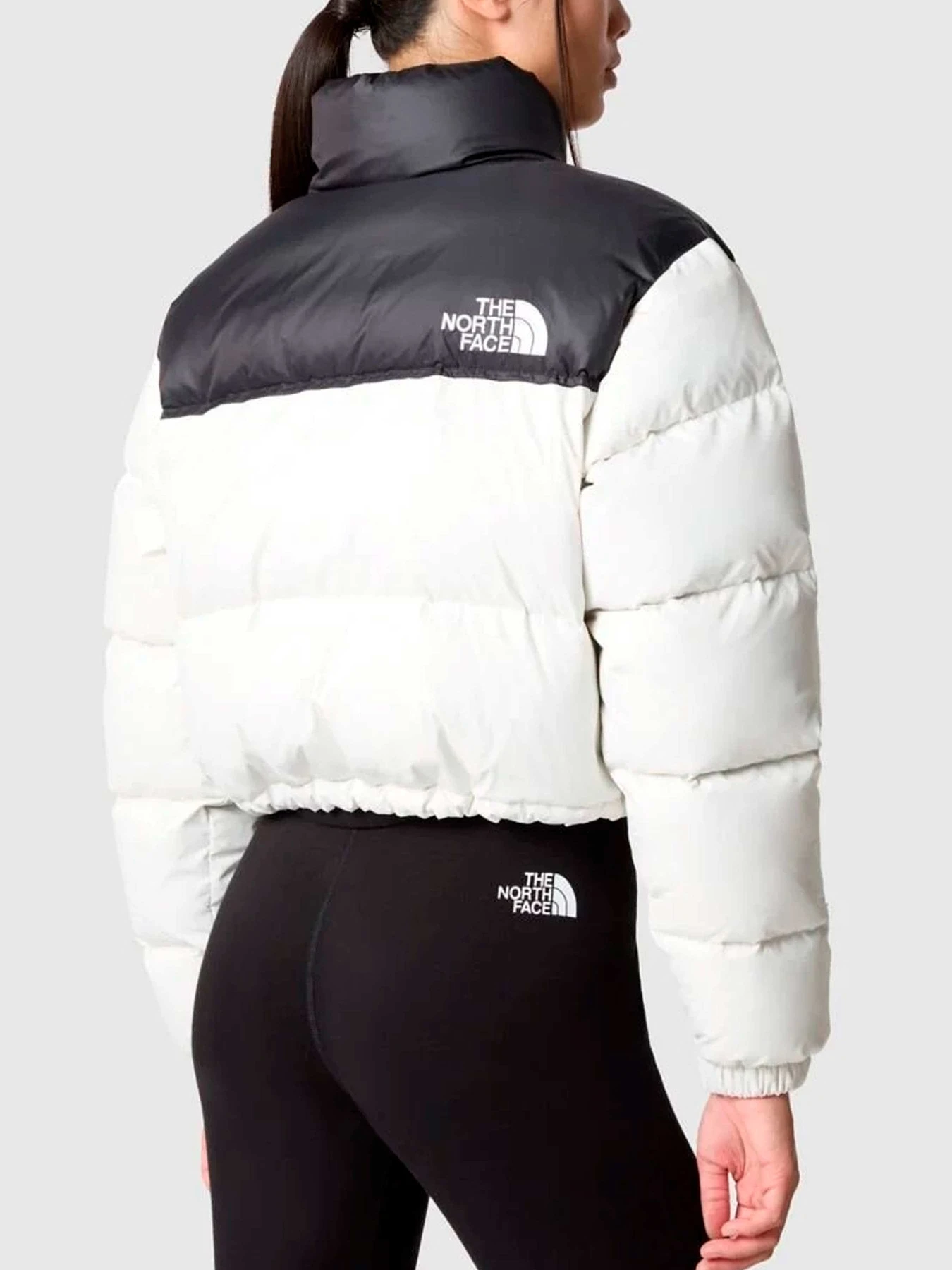 Куртки и дубленки The North Face модель NF0A5GGEQ4C1 Куртки и дубленки The North Face модель NF0A5GGEQ4C1 Фото