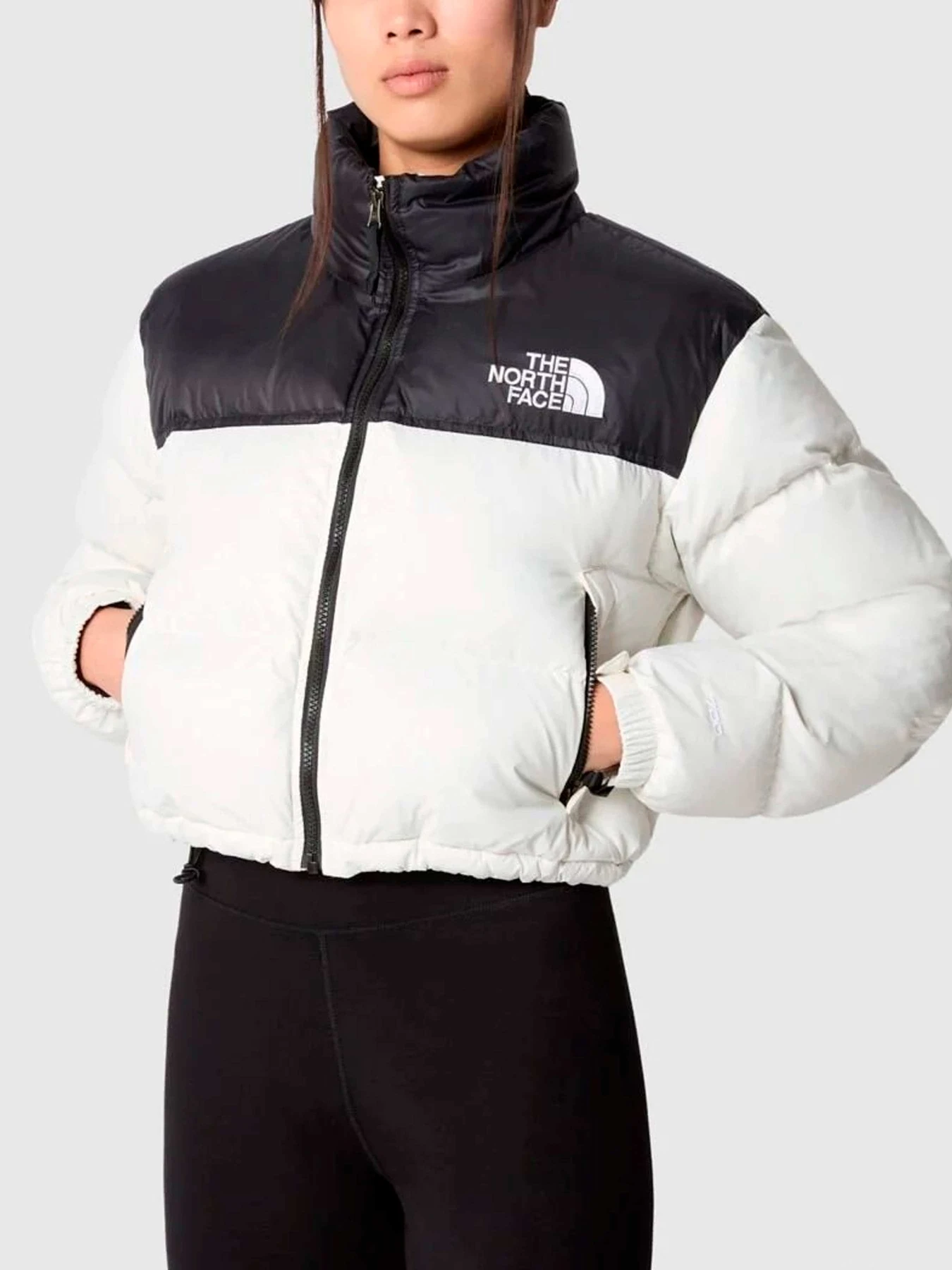 Куртки и дубленки The North Face модель NF0A5GGEQ4C1 Куртки и дубленки The North Face модель NF0A5GGEQ4C1 Фото