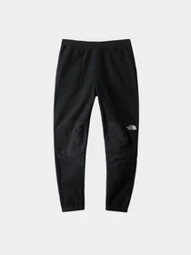 Брюки The North Face модель NF0A7WXXJK31 Фото