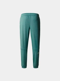 Брюки The North Face модель NF0A7Z9PJIY1 Фото