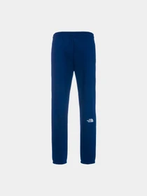 Брюки The North Face модель NF0A7ZJB8K21 Фото