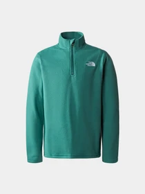 Худи и свитшоты The North Face модель NF0A82D1I0F1 Фото