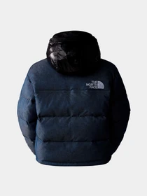 Куртки и дубленки The North Face модель NF0A831JLO31 Фото