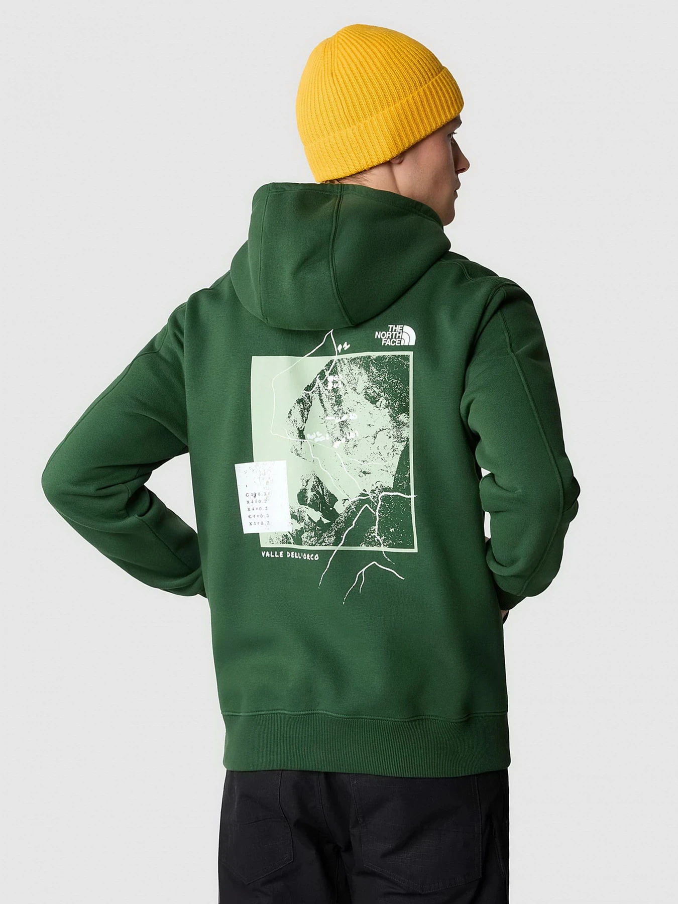 Худи и свитшоты The North Face модель NF0A8522I0P1 Фото