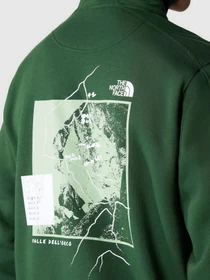 Худи и свитшоты The North Face модель NF0A8522I0P1 Фото