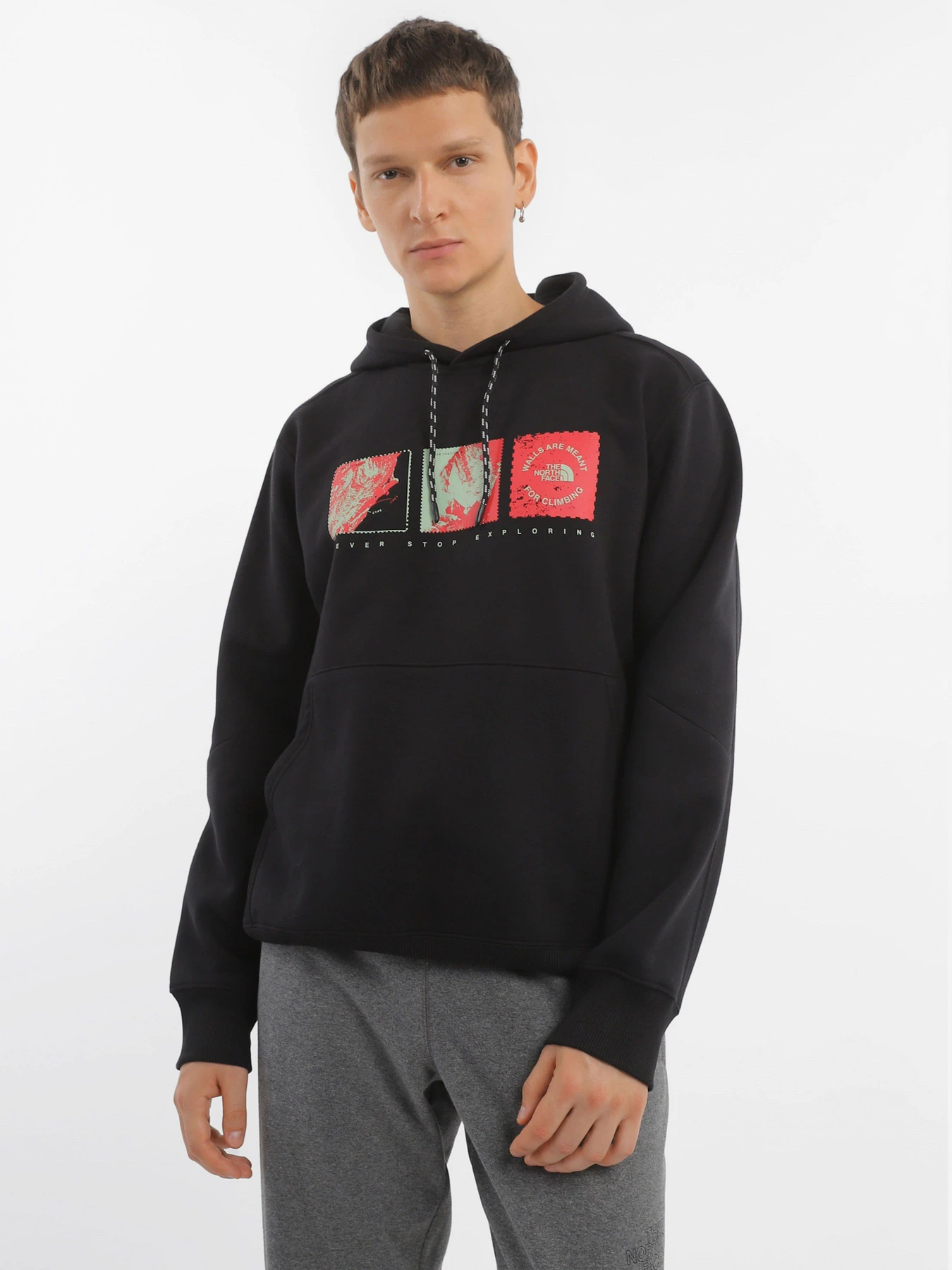 Худи и свитшоты The North Face модель NF0A8522JK31 Фото