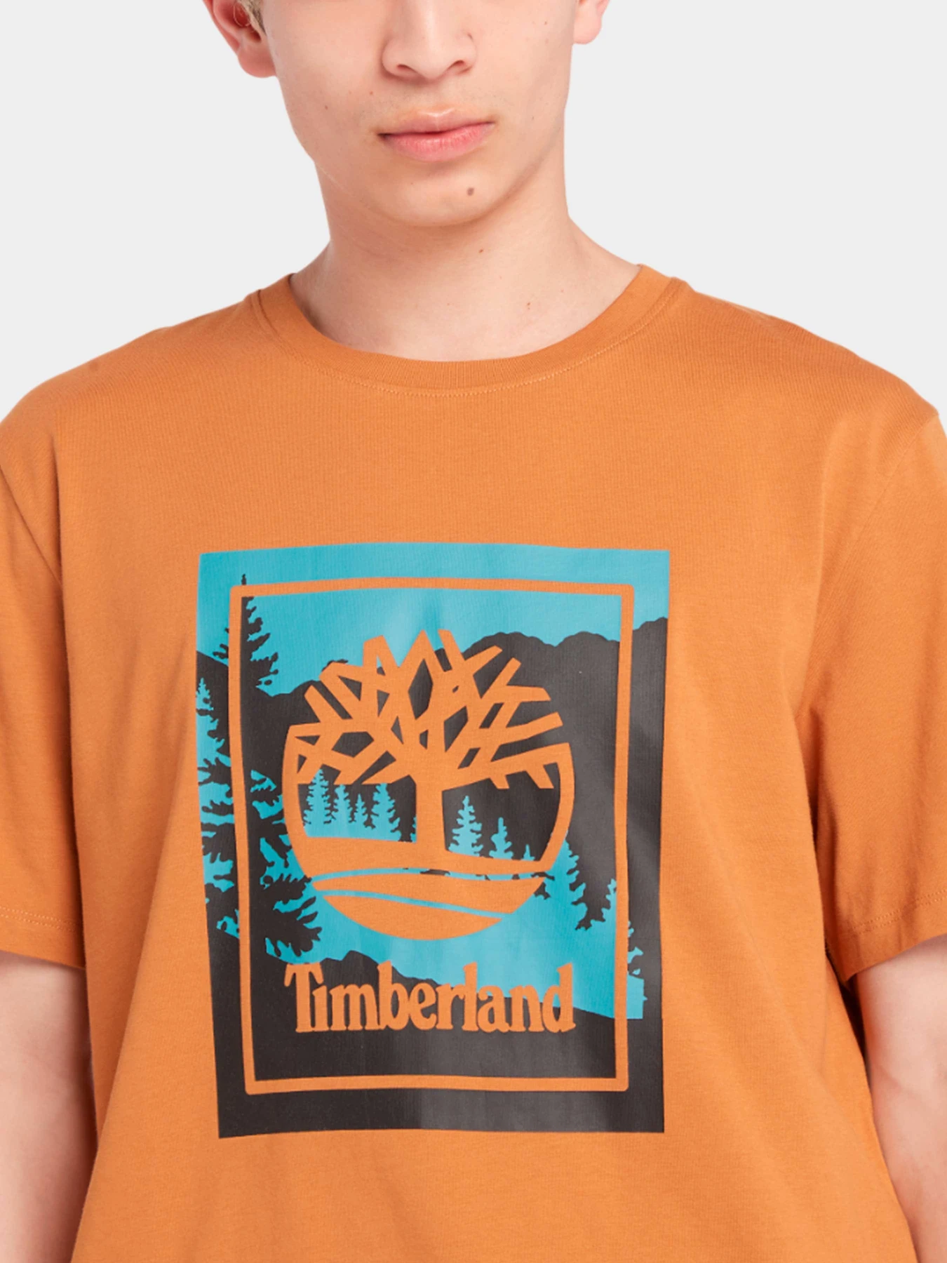 Футболки и поло Timberland модель TB0A6P5NP47 Футболки и поло Timberland модель TB0A6P5NP47 Фото