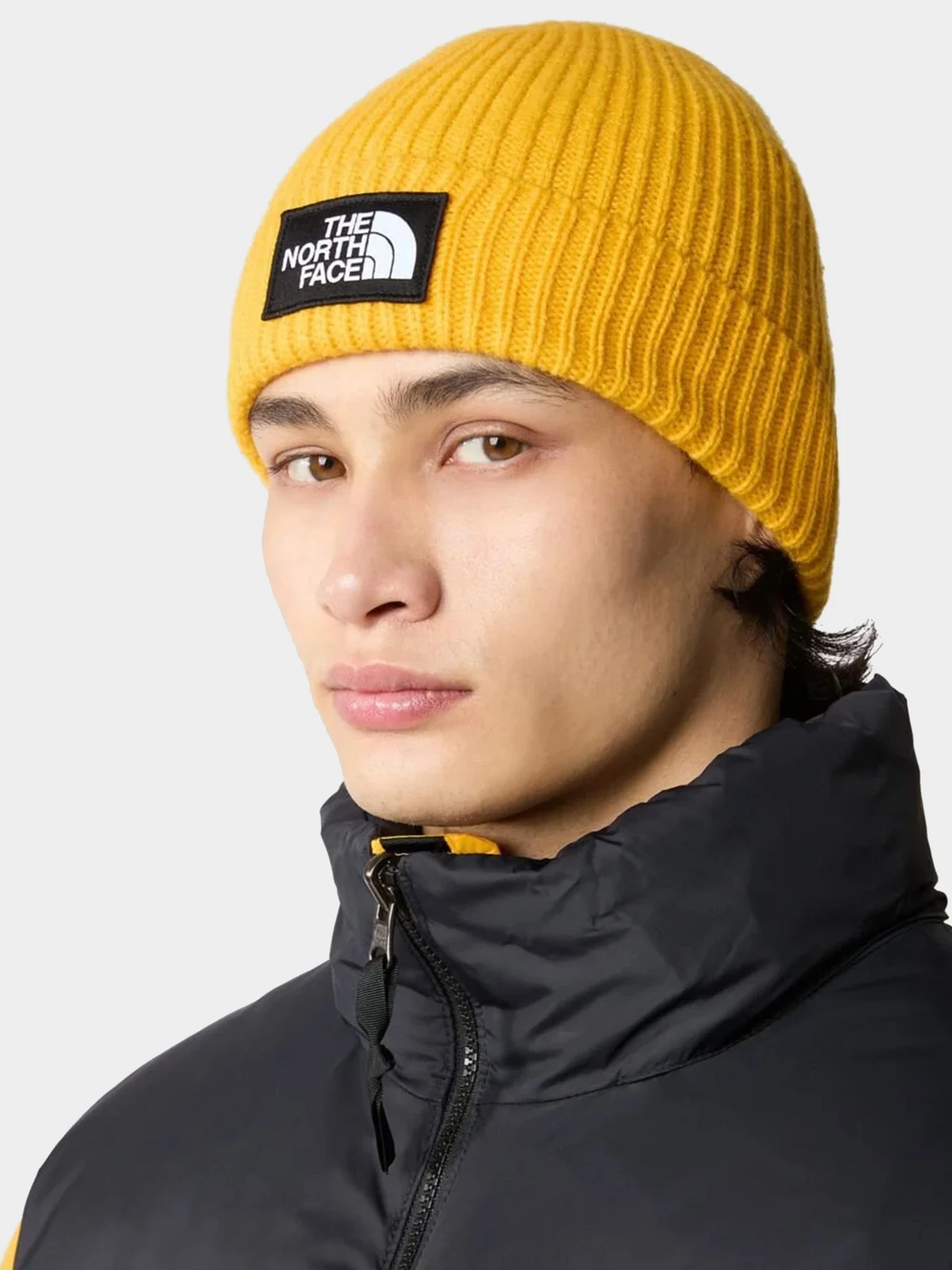 Шапки и кепки The North Face модель NF0A3FJX56P1 Шапки и кепки The North Face модель NF0A3FJX56P1 Фото