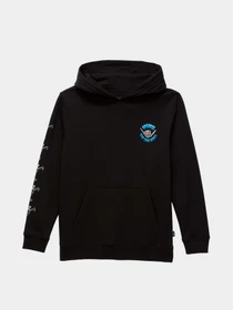 Худи и свитшоты Vans модель VN000883BLK1 Фото