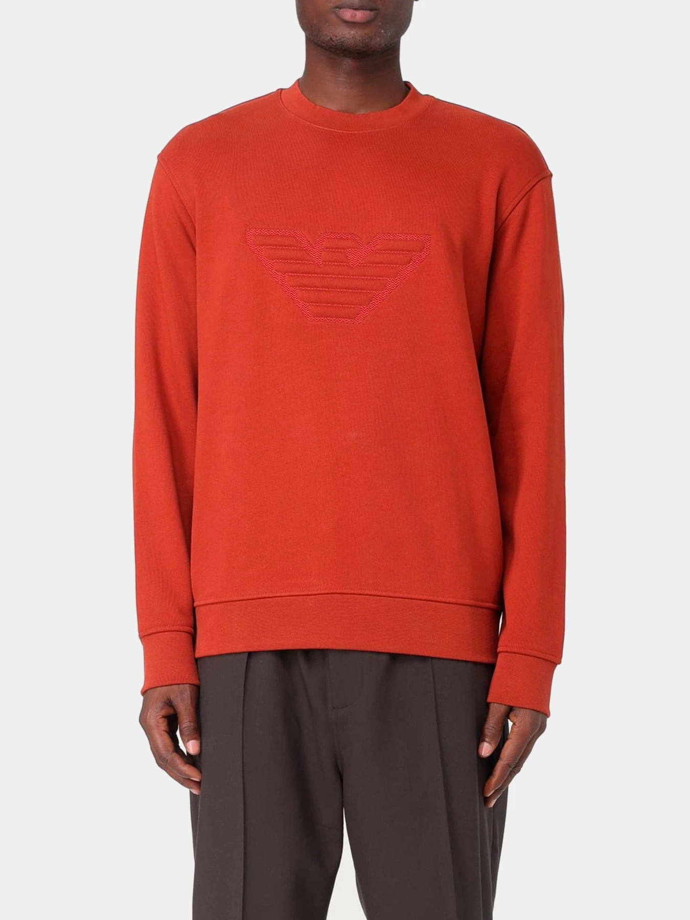Худи и свитшоты Emporio Armani модель 6R1MG5-1JWPZ-0486 Худи и свитшоты Emporio Armani модель 6R1MG5-1JWPZ-0486 Фото