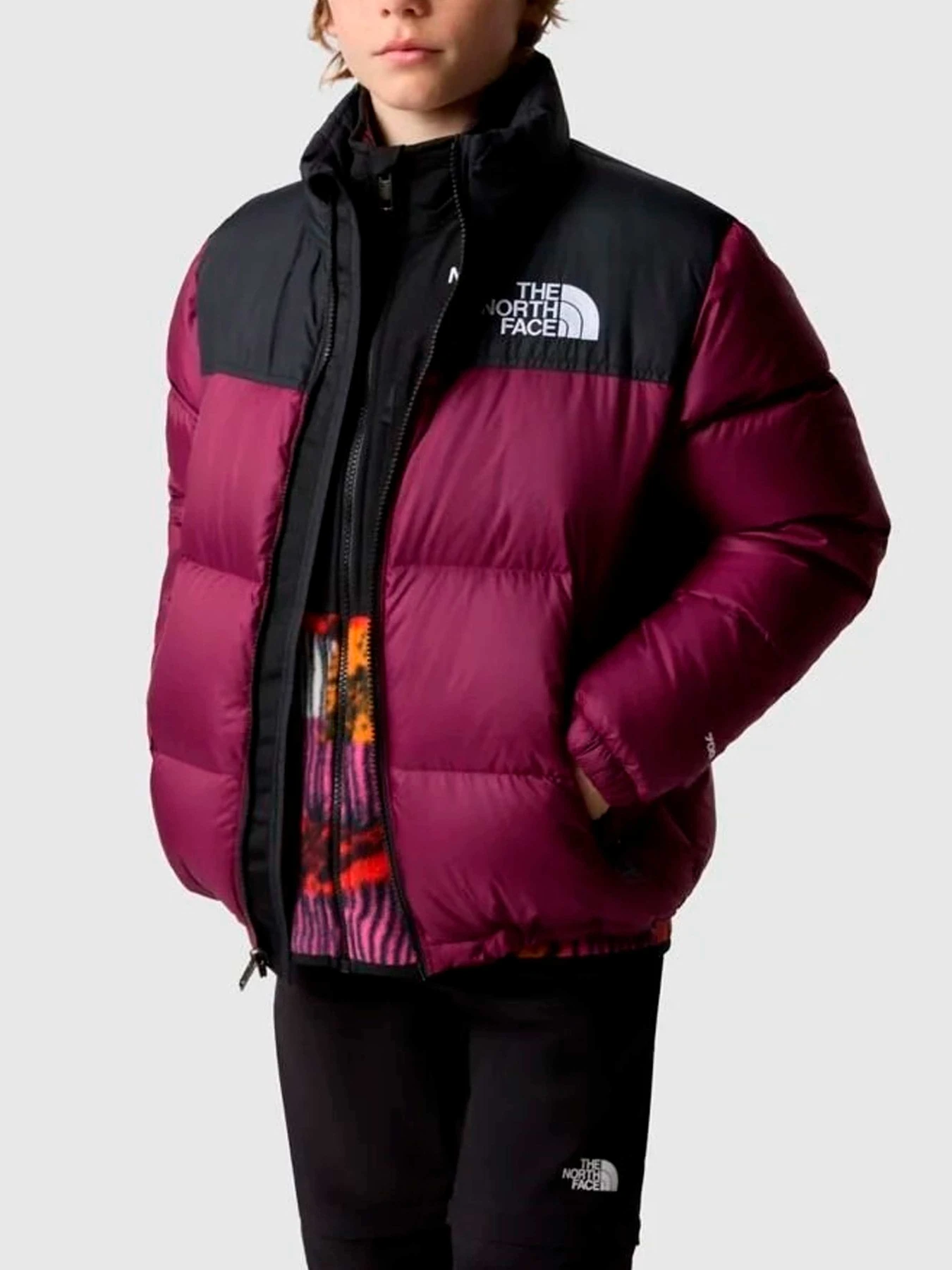 Куртки и дубленки The North Face модель NF0A82UDI0H1 Куртки и дубленки The North Face модель NF0A82UDI0H1 Фото