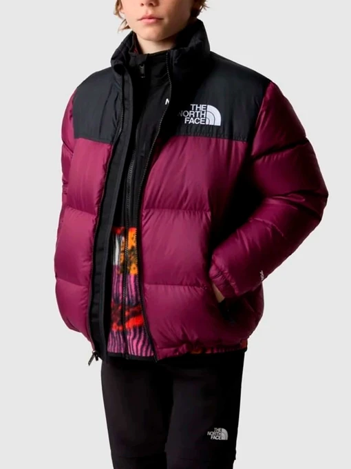 Куртки и дубленки The North Face модель NF0A82UDI0H1 Фото