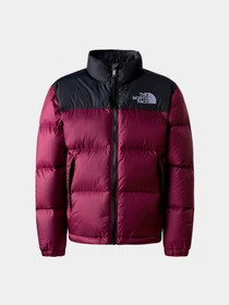 Куртки и дубленки The North Face модель NF0A82UDI0H1 Фото