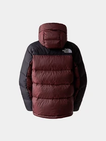Куртки и дубленки The North Face модель NF0A4R2WLOS1 Фото