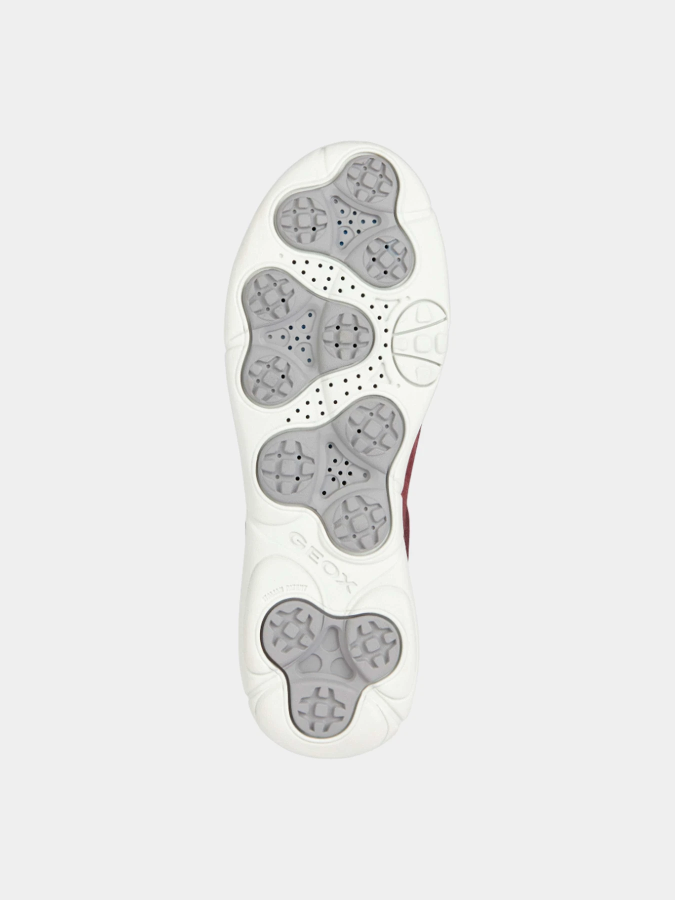 Кроссовки Geox модель D36VUA-02011-C7011 Кроссовки Geox модель D36VUA-02011-C7011 Фото