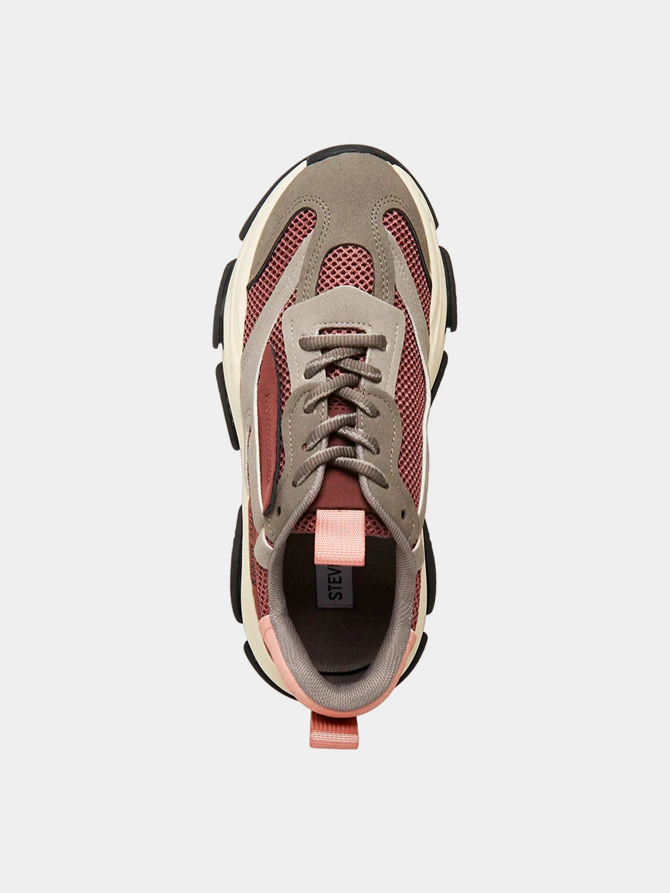 Кроссовки Steve Madden модель SM19000033 MAUVE Кроссовки Steve Madden модель SM19000033 MAUVE Фото