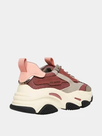 Кроссовки Steve Madden модель SM19000033 MAUVE Фото