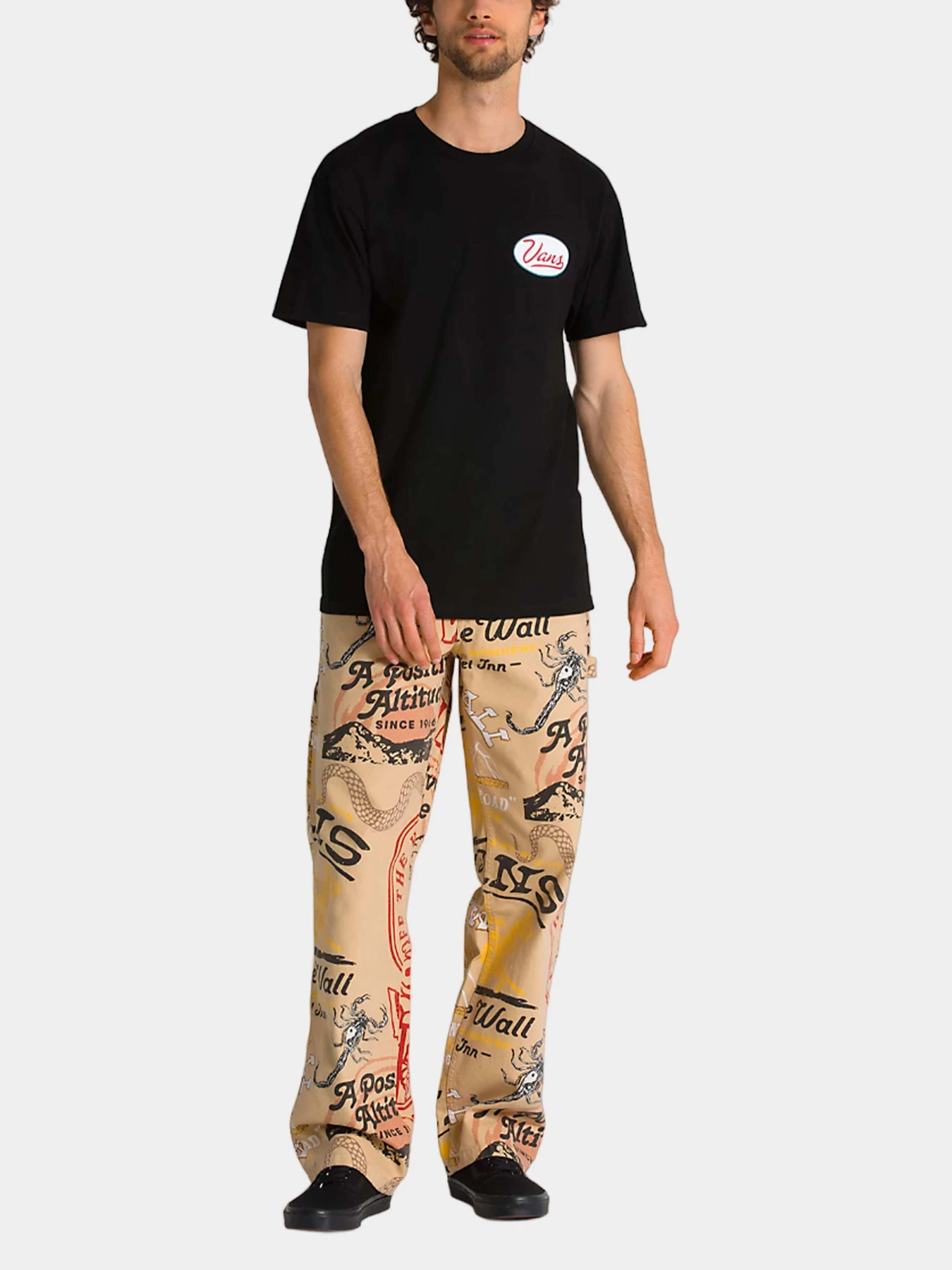 Футболки и поло Vans модель VN0008FBBLK1 Футболки и поло Vans модель VN0008FBBLK1 Фото