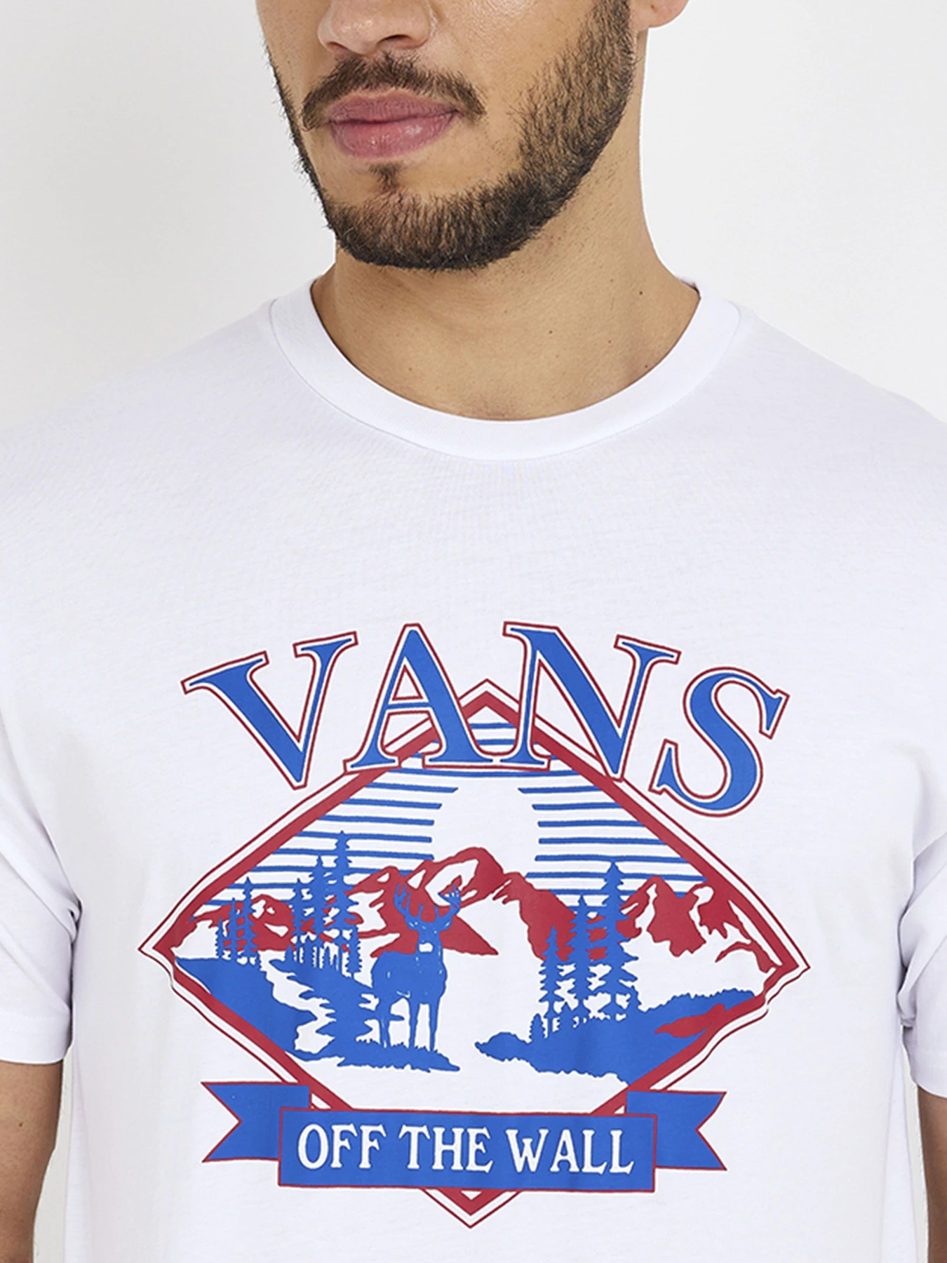 Футболки и поло Vans модель VN0008RSWHT1 Футболки и поло Vans модель VN0008RSWHT1 Фото