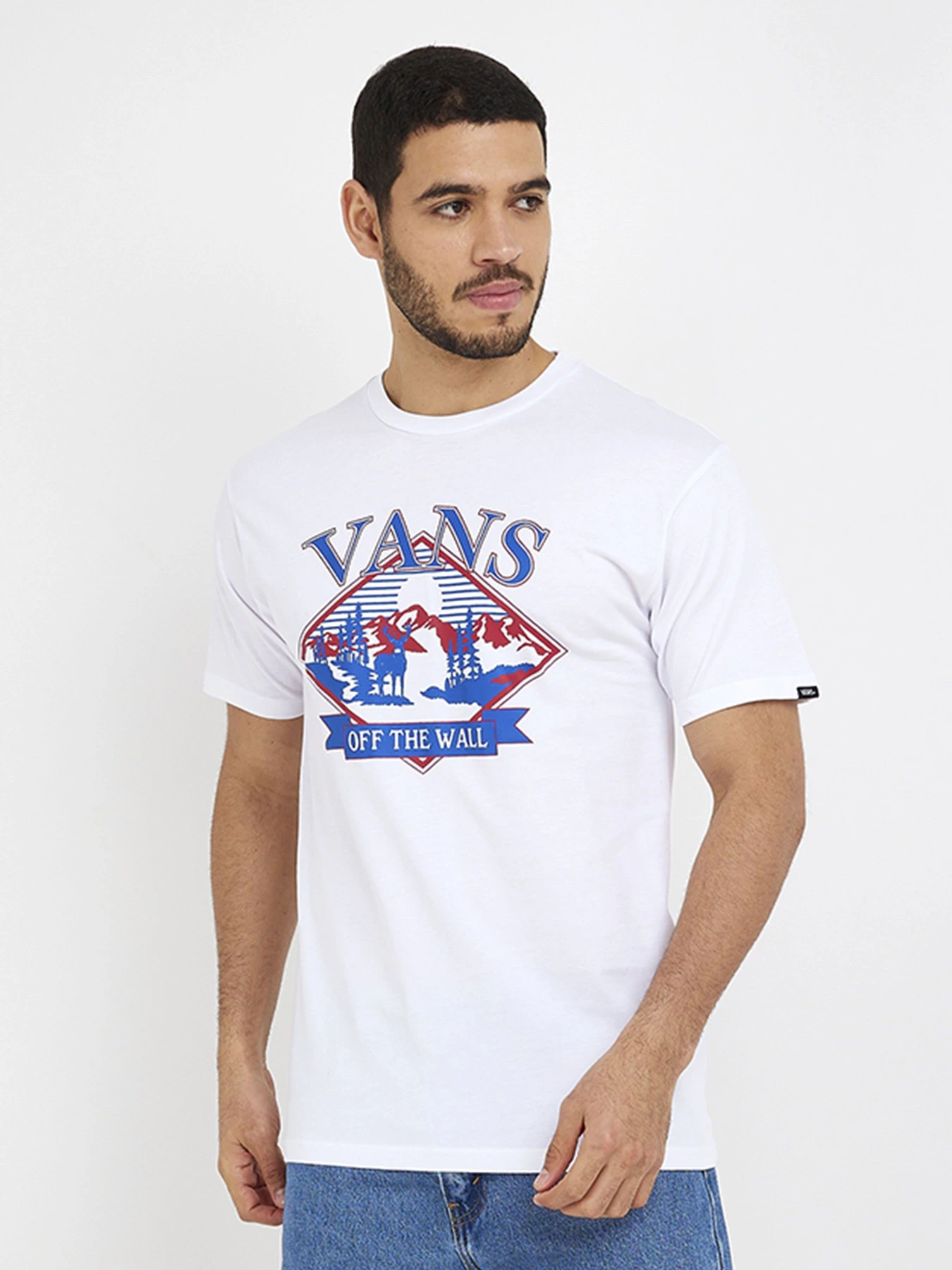 Футболки и поло Vans модель VN0008RSWHT1 Футболки и поло Vans модель VN0008RSWHT1 Фото