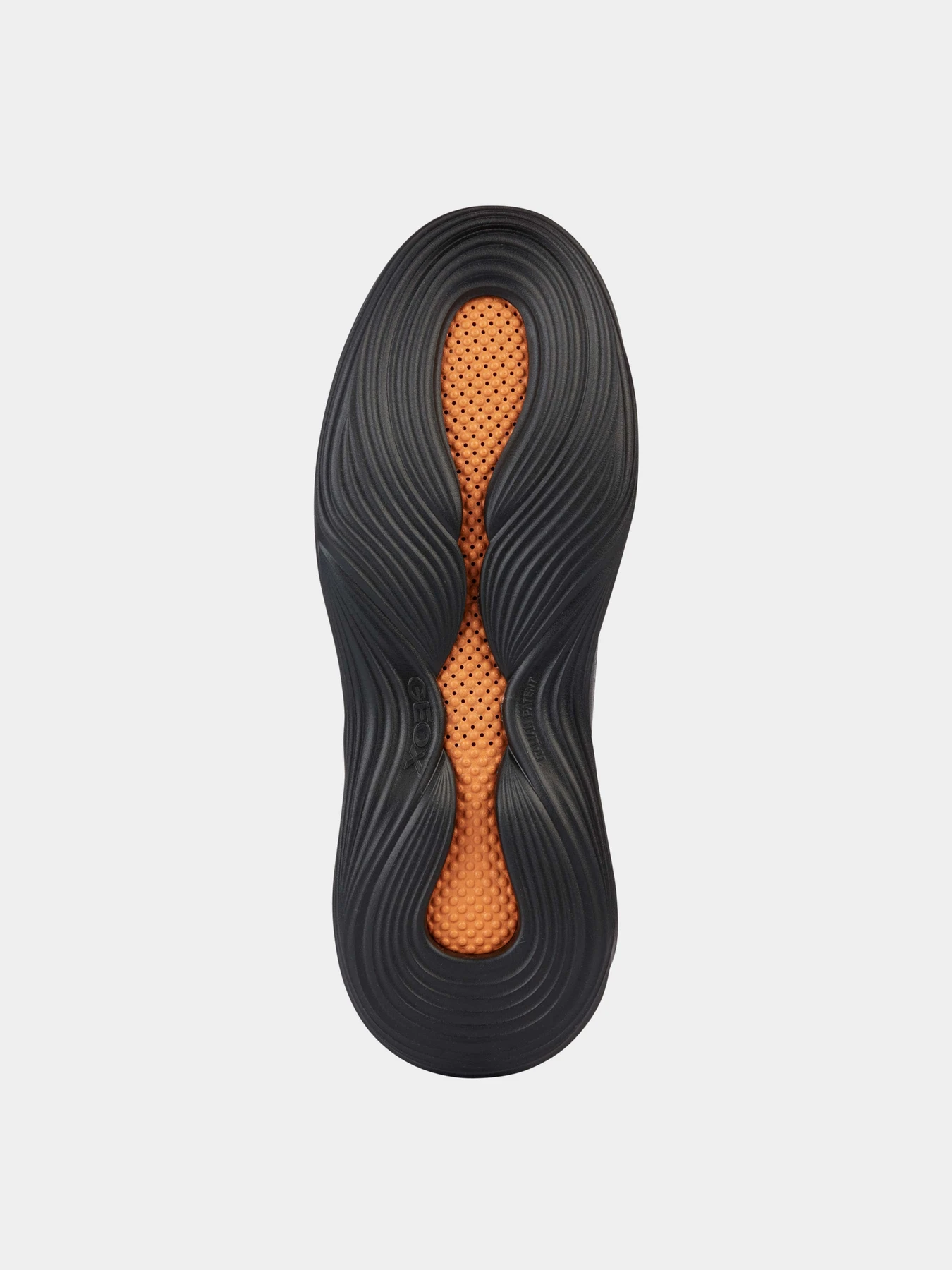 Кроссовки Geox модель U35C2A-00043-C9999 Кроссовки Geox модель U35C2A-00043-C9999 Фото