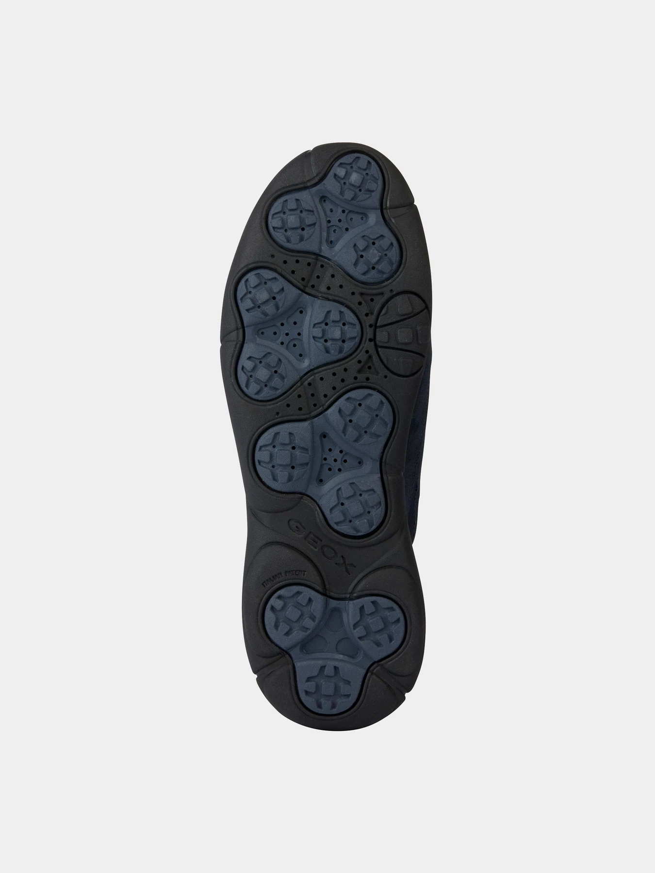 Кроссовки Geox модель U36G6A-02211-C4002 Кроссовки Geox модель U36G6A-02211-C4002 Фото