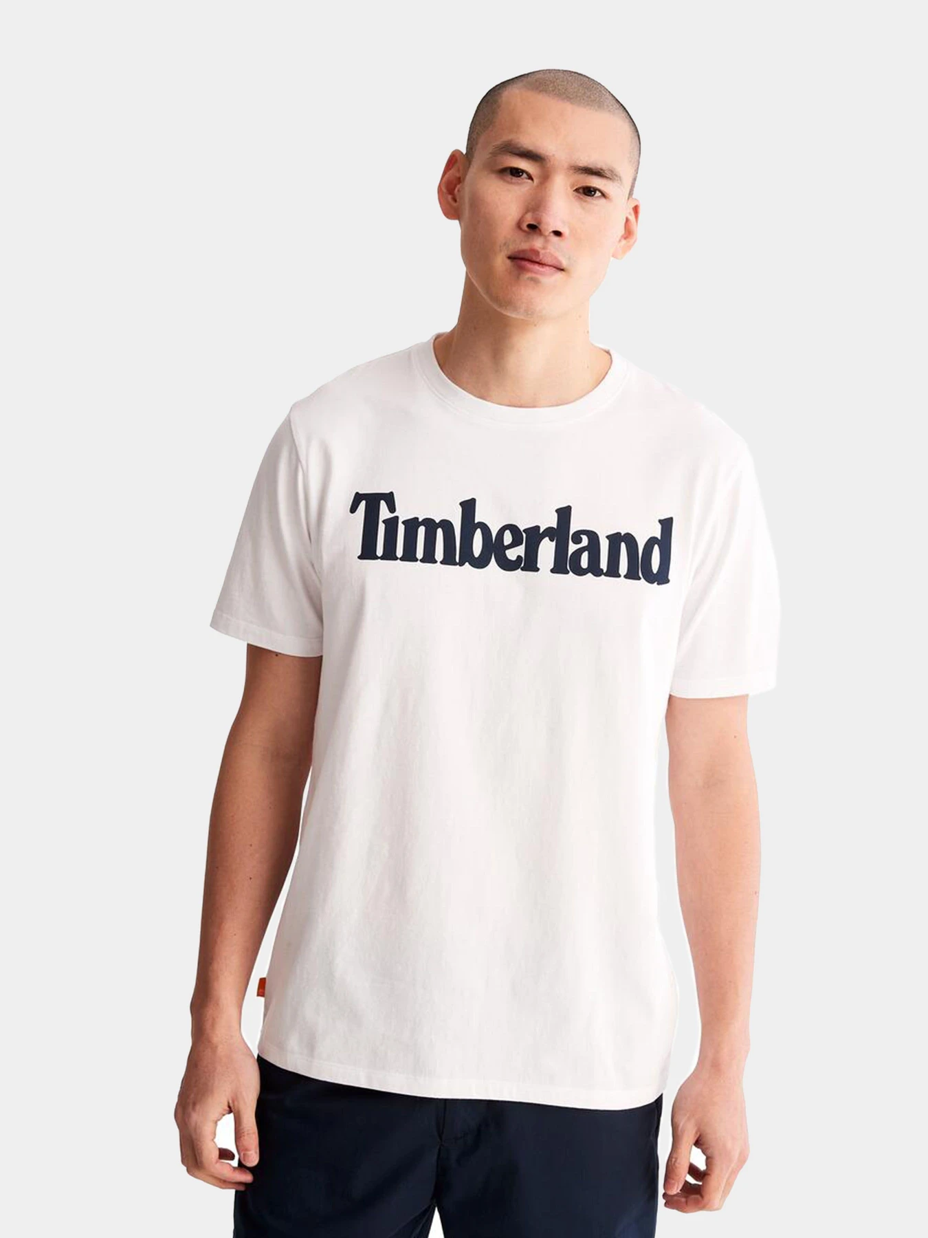 Футболки и поло Timberland модель TB0A2BRN100 Футболки и поло Timberland модель TB0A2BRN100 Фото