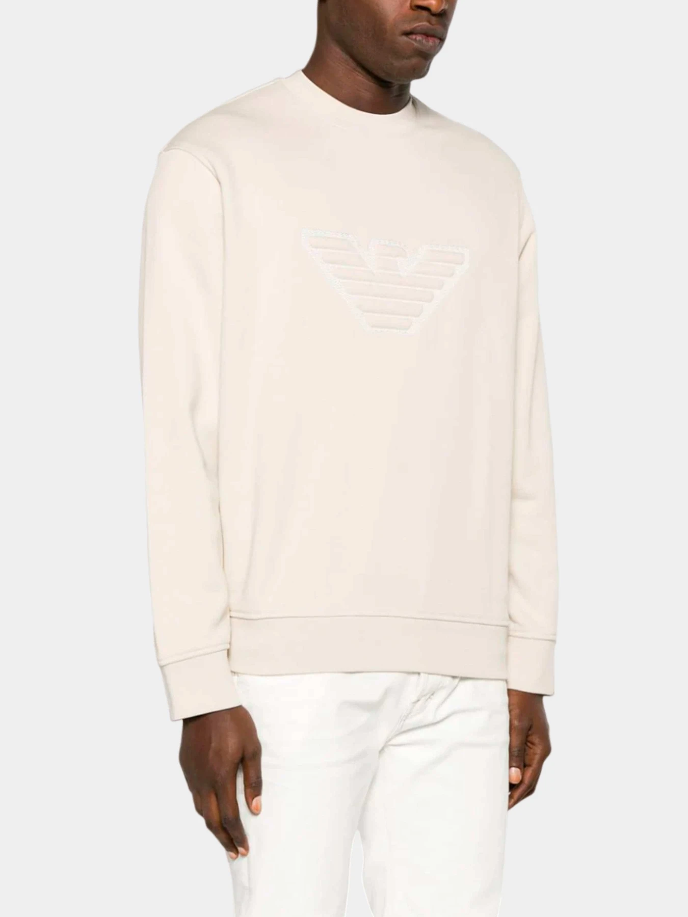 Худи и свитшоты Emporio Armani модель 6R1MG5-1JWPZ-01L7 Фото
