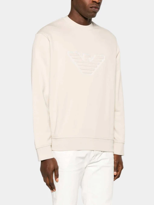 Худи и свитшоты Emporio Armani модель 6R1MG5-1JWPZ-01L7 Фото