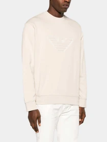 Худи и свитшоты Emporio Armani модель 6R1MG5-1JWPZ-01L7 Фото