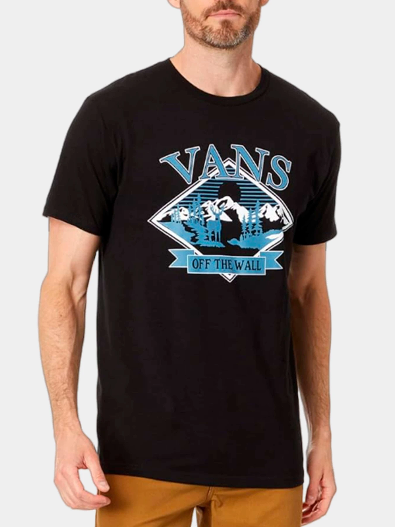 Футболки и поло Vans модель VN0008RSBLK1 Футболки и поло Vans модель VN0008RSBLK1 Фото