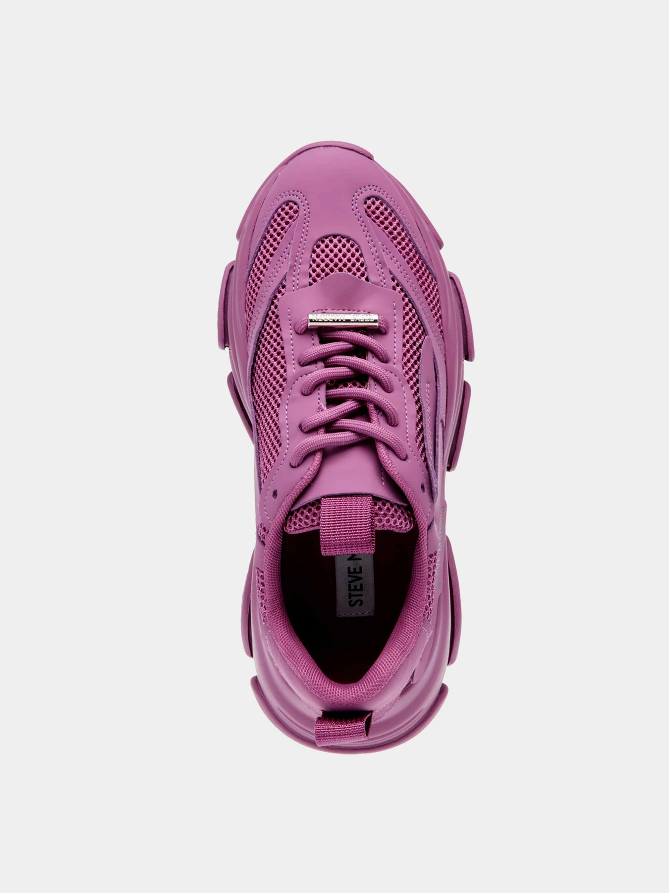 Кроссовки Steve Madden модель SM19000033 DK LAVENDER PARIS Кроссовки Steve Madden модель SM19000033 DK LAVENDER PARIS Фото