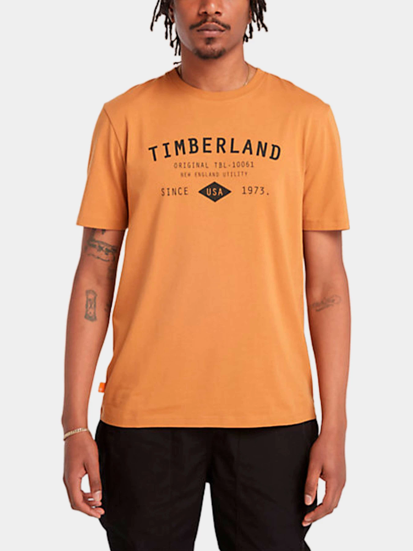 Футболки и поло Timberland модель TB0A6FVDP47 Футболки и поло Timberland модель TB0A6FVDP47 Фото