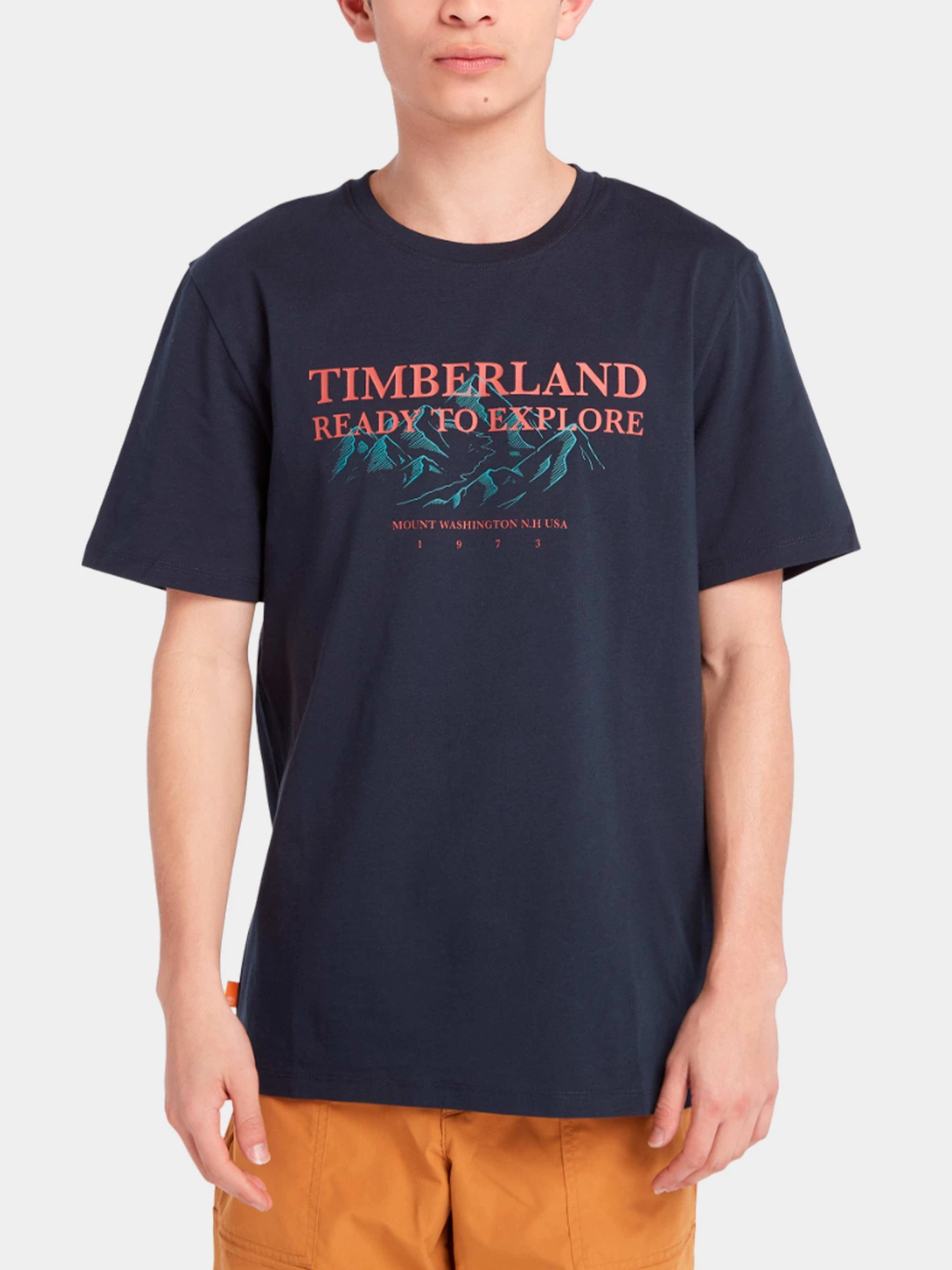 Футболки и поло Timberland модель TB0A6P3S433 Футболки и поло Timberland модель TB0A6P3S433 Фото