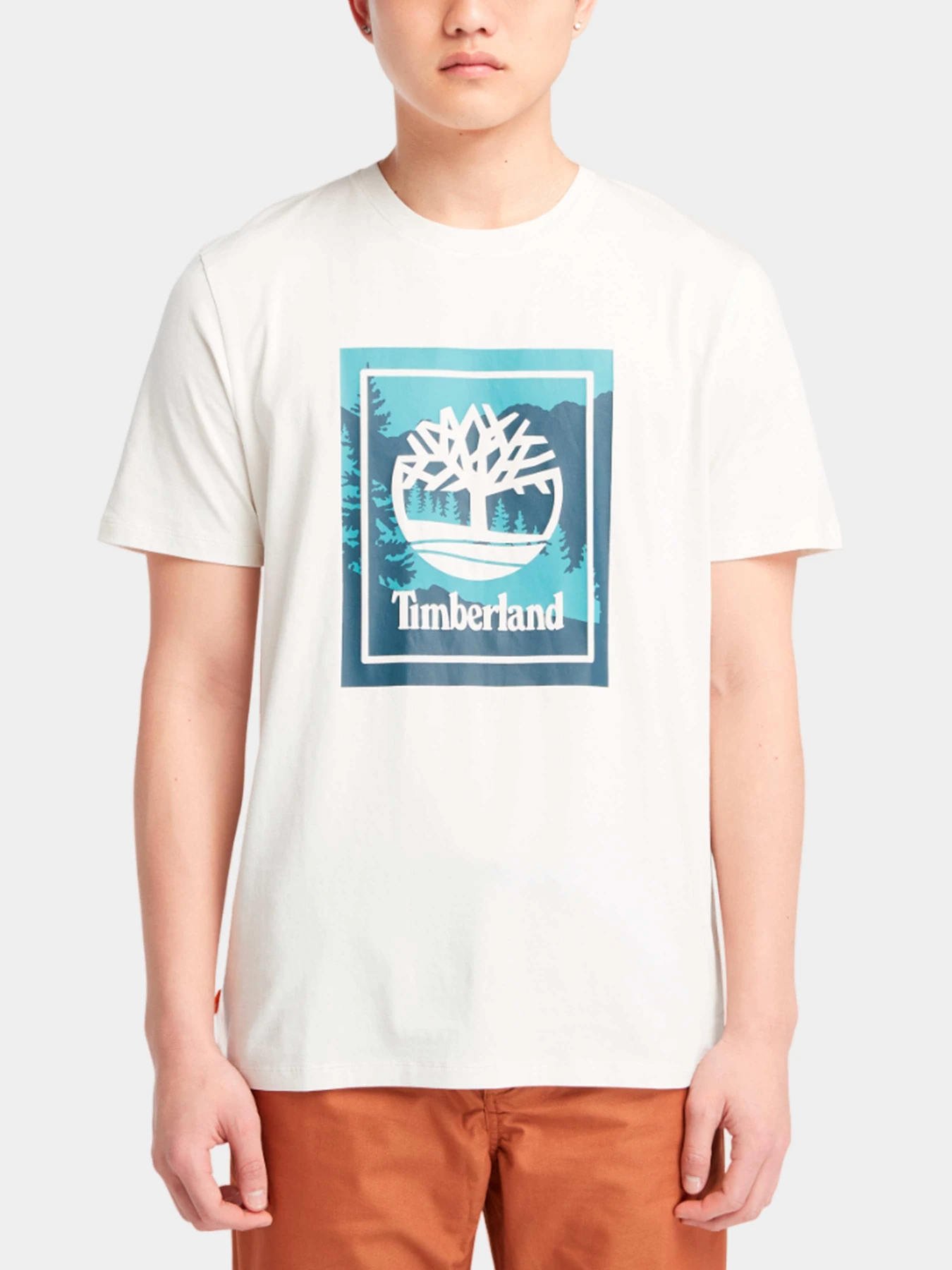 Футболки и поло Timberland модель TB0A6P5NCM9 Футболки и поло Timberland модель TB0A6P5NCM9 Фото