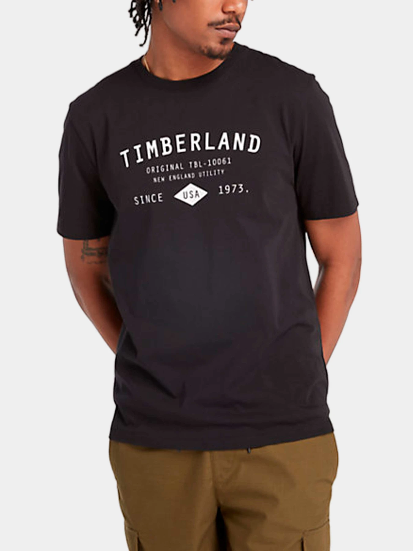 Футболки и поло Timberland модель TB0A6FVD001 Футболки и поло Timberland модель TB0A6FVD001 Фото