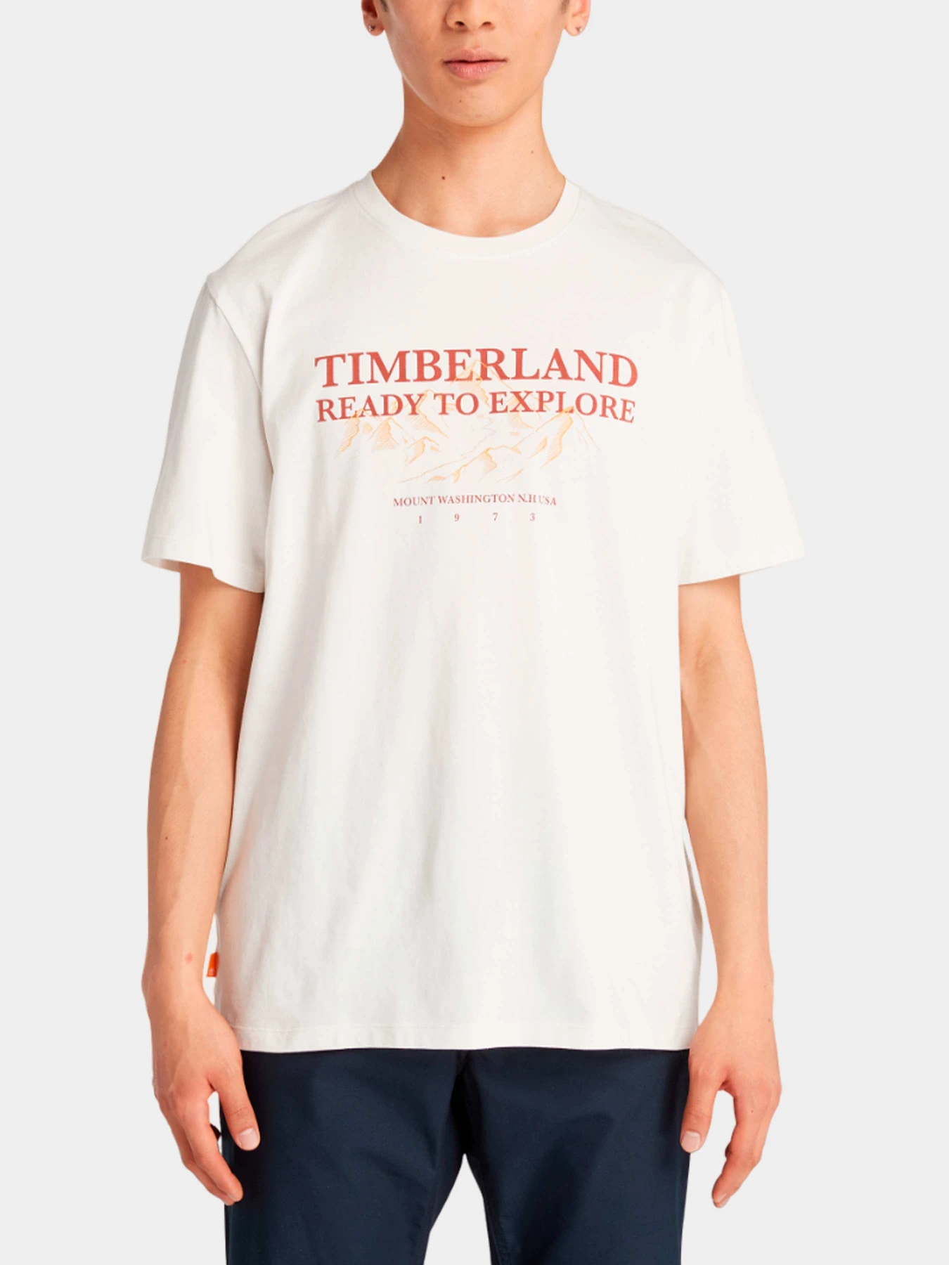 Футболки и поло Timberland модель TB0A6P3SCM9 Футболки и поло Timberland модель TB0A6P3SCM9 Фото