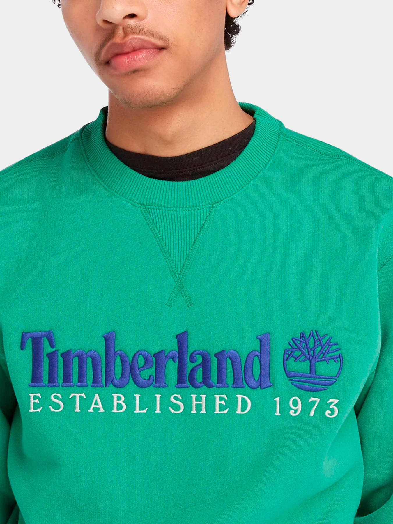 Худи и свитшоты Timberland модель TB0A65DDED3 Худи и свитшоты Timberland модель TB0A65DDED3 Фото
