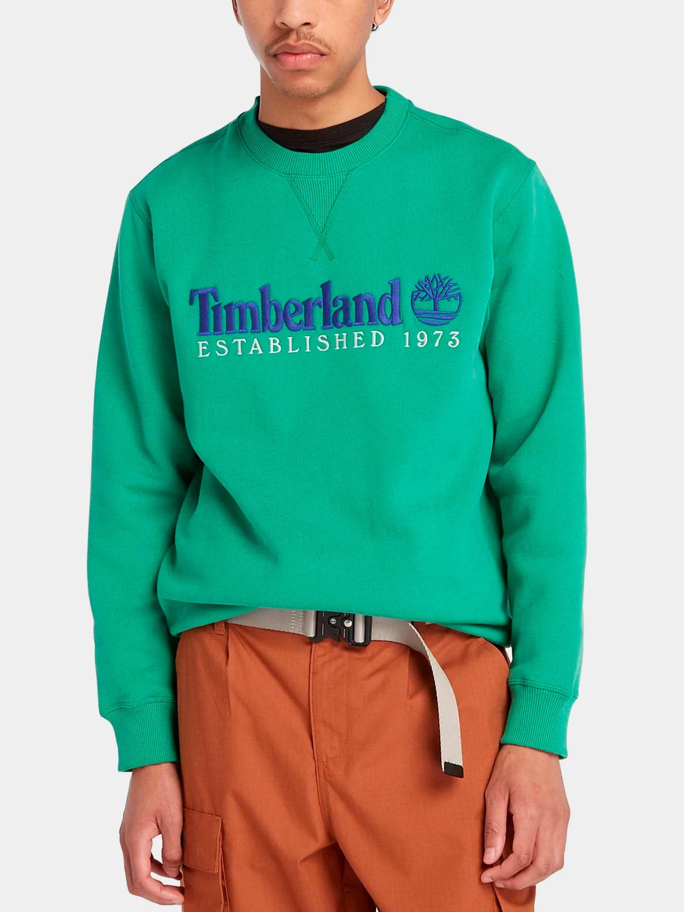 Худи и свитшоты Timberland модель TB0A65DDED3 Худи и свитшоты Timberland модель TB0A65DDED3 Фото