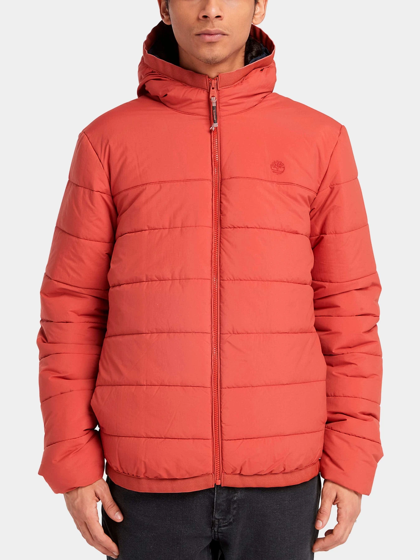 Куртки и дубленки Timberland модель TB0A6G39DV5 Куртки и дубленки Timberland модель TB0A6G39DV5 Фото
