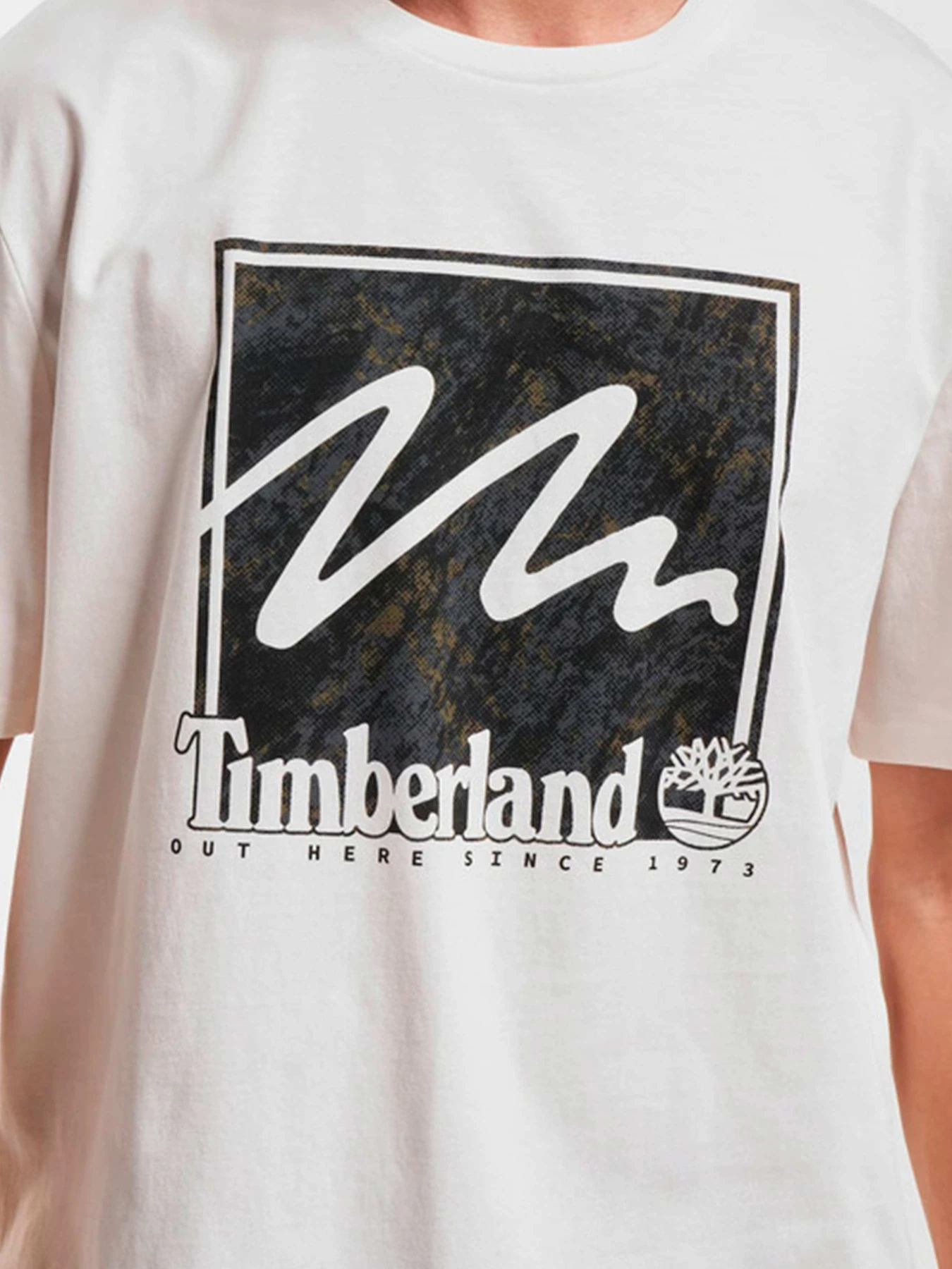 Футболки и поло Timberland модель TB0A6JQNCM9 Футболки и поло Timberland модель TB0A6JQNCM9 Фото