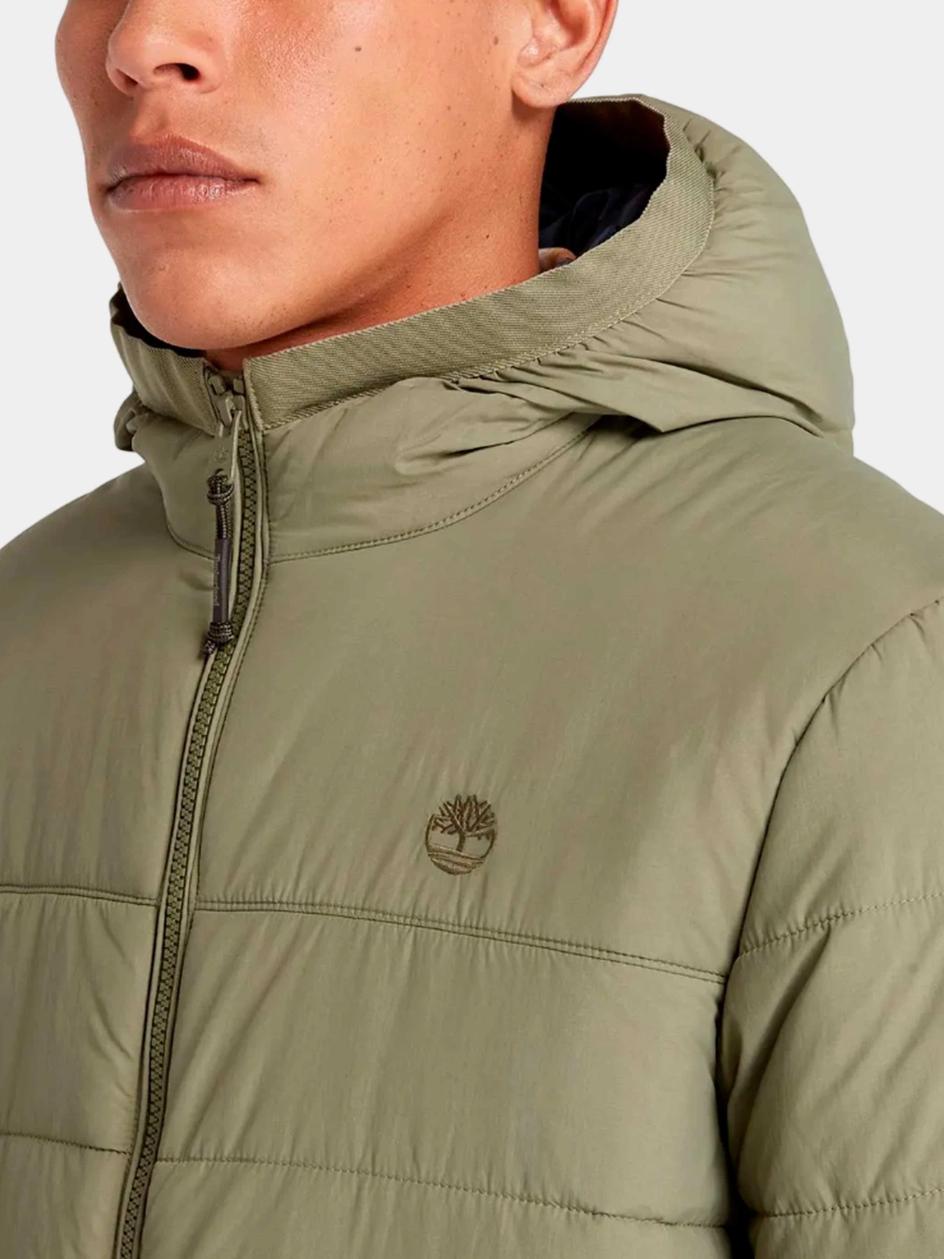 Куртки и дубленки Timberland модель TB0A6G39590 Куртки и дубленки Timberland модель TB0A6G39590 Фото