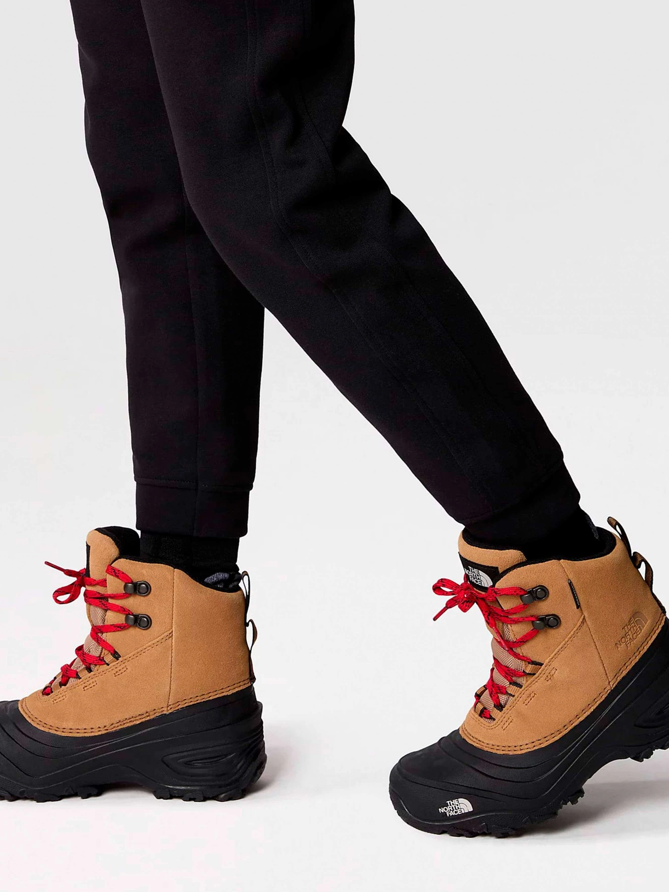 Ботинки и сапоги The North Face модель NF0A7W5YKOM1 Ботинки и сапоги The North Face модель NF0A7W5YKOM1 Фото